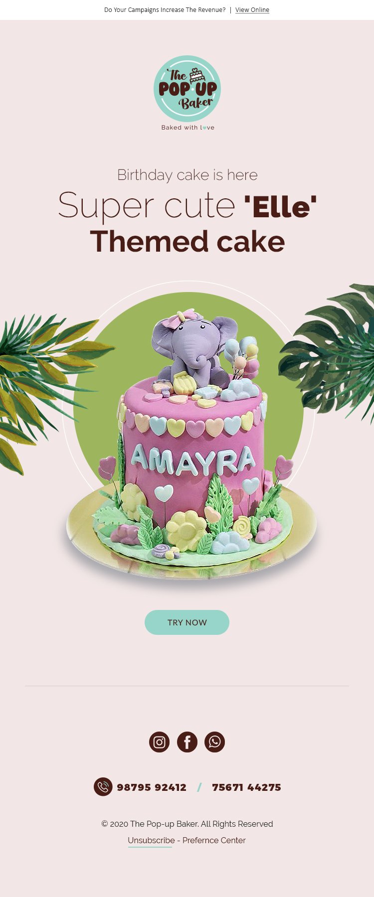 Cake Email